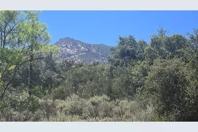 38375 Indian Road, Anza, CA 92539 - Photo 5