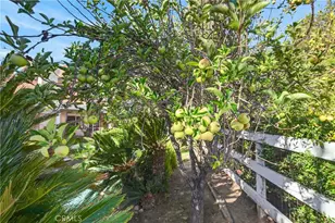 30767 Calle Pina Colada, Temecula, CA 92591 - Photo 67