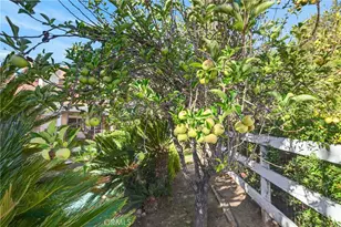 30767 Calle Pina Colada, Temecula, CA 92591 - Photo 59