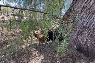 21280 Cielo Vista, Wildomar, CA 92595 - Photo 41