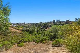 3927 Limber Pine, Fallbrook, CA 92028 - Photo 51