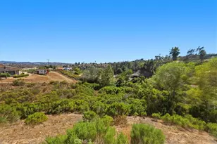 3927 Limber Pine, Fallbrook, CA 92028 - Photo 57