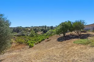 3927 Limber Pine, Fallbrook, CA 92028 - Photo 49