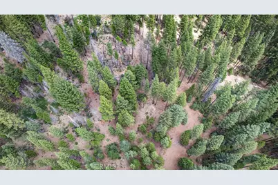 2500 Round Valley Road, Greenville, CA 95947 - Photo 65