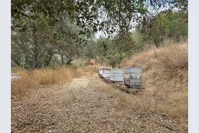 0 Live Oak Creek Circle, Fallbrook, CA 92028 - Photo 5