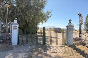39100 Desert View Rd, Newberry Springs, CA 92365 - Photo 45