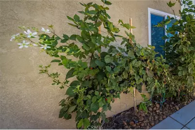 45948 Parsippany Court, Temecula, CA 92592 - Photo 55