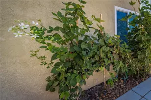 45948 Parsippany Ct, Temecula, CA 92592 - Photo 55
