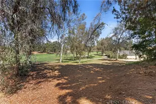 29424 Via La Plaza, Murrieta, CA 92563 - Photo 27