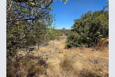 1 Terwilliger, Anza, CA 92539 - Photo 3