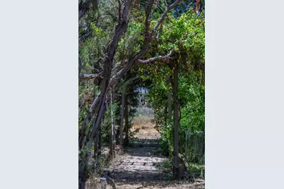 39875 Bautista Road, Anza, CA 92539 - Photo 27