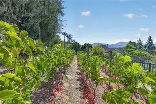 17943 Highlands Ranch, Poway, CA 92064 - Photo 5