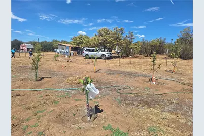 44275 Breiner Valley, Anza, CA 92539 - Photo 13