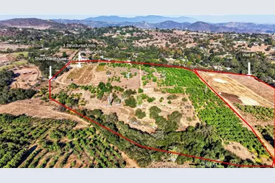 2864 Live Oak Park, Fallbrook, CA 92028 - Photo 37