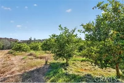 982 Live Oak Park Road, Fallbrook, CA 92028 - Photo 7
