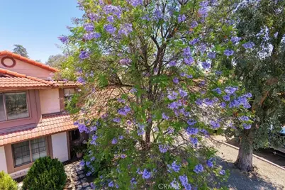 20692 Cashew Street, Wildomar, CA 92595 - Photo 71