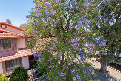 20692 Cashew Street, Wildomar, CA 92595 - Photo 71
