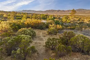 58883 Kaweea Dr, Anza, CA 92539 - Photo 7