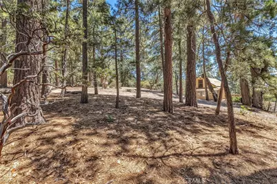 25030 Marion Ridge Drive, Idyllwild, CA 92549 - Photo 13