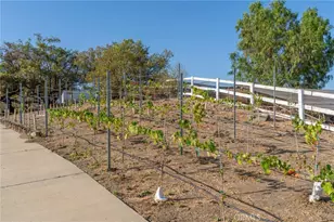 36493 Summitville, Temecula, CA 92592 - Photo 25
