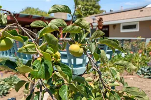 720 Carnation Ln, Fallbrook, CA 92028 - Photo 29