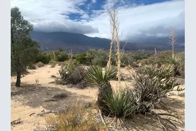 368 Palm Canyon Drive, Mountain Center, CA 92561 - Photo 11