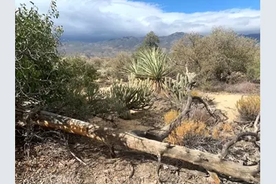 368 Palm Canyon Drive, Mountain Center, CA 92561 - Photo 9