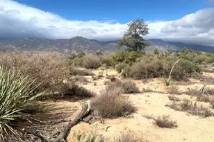 368 Palm Canyon Dr, Mountain Center, CA 92561 - Photo 1