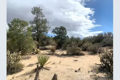 368 Palm Canyon Drive, Mountain Center, CA 92561 - Photo 13