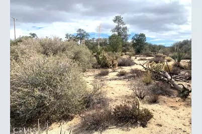 368 Palm Canyon Drive, Mountain Center, CA 92561 - Photo 3