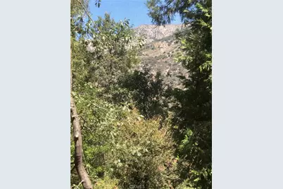 9112 Torrey Pines Road, Forest Falls, CA 92339 - Photo 41