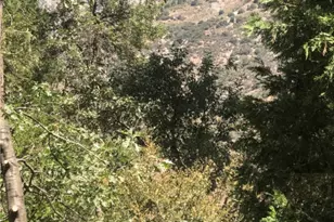 9112 Torrey Pines Rd, Forest Falls, CA 92339 - Photo 41