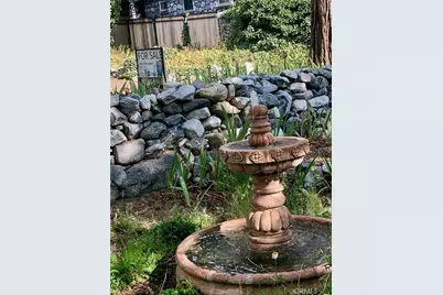 9112 Torrey Pines Road, Forest Falls, CA 92339 - Photo 7