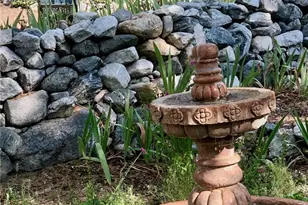 9112 Torrey Pines Rd, Forest Falls, CA 92339 - Photo 7