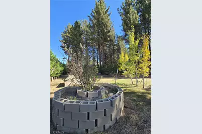 341 Jeffries, Big Bear Lake, CA 92315 - Photo 11