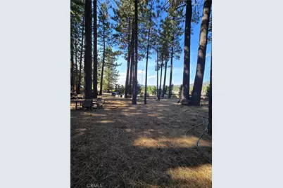 341 Jeffries, Big Bear Lake, CA 92315 - Photo 13
