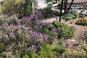33501 Hidden Hollow, Wildomar, CA 92595 - Photo 43
