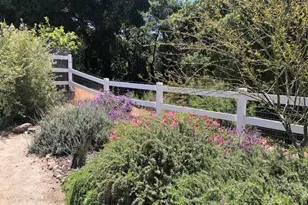 33501 Hidden Hollow, Wildomar, CA 92595 - Photo 59