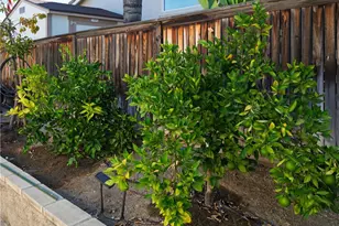31681 Flowering Plum Ct, Winchester, CA 92596 - Photo 45