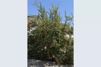 24972 Butterchurn Road, Wildomar, CA 92595 - Photo 5
