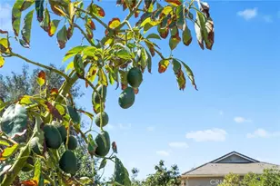 24135 Mirasol Way, Temecula, CA 92590 - Photo 53