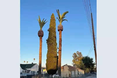 10567 Ohio, Loma Linda, CA 92354 - Photo 3