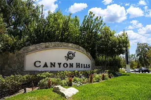 34292 Chaparossa, Lake Elsinore, CA 92532 - Photo 47