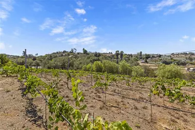 9914 W Lilac Road, Escondido, CA 92026 - Photo 59