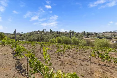 9914 W Lilac Road, Escondido, CA 92026 - Photo 59
