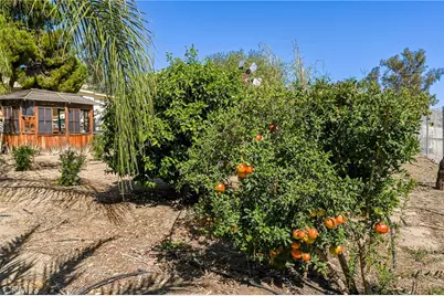46119 Rainbow, Aguanga, CA 92536 - Photo 11