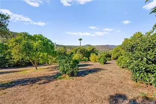 3945 Pala Mesa, Fallbrook, CA 92028 - Photo 71