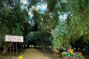 46780 Hwy 371, Aguanga, CA 92536 - Photo 1