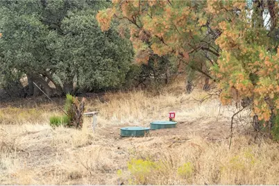 38195 Hill Street, Anza, CA 92539 - Photo 51