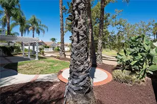 29757 Camino Pepita, Menifee, CA 92584 - Photo 41